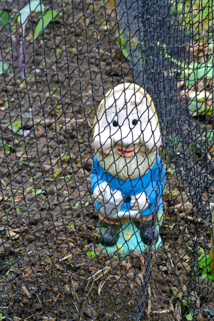 Tweedledum