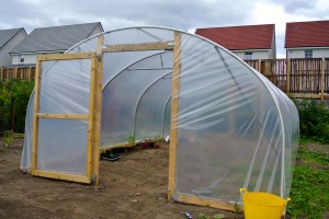 RGU Community Garden