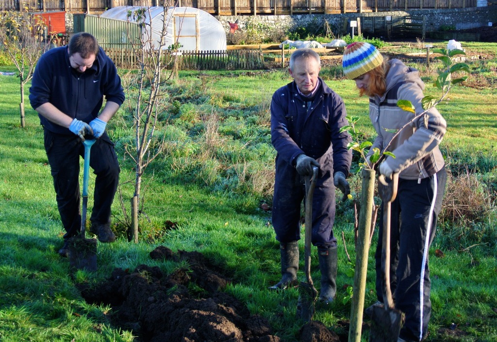 Dave and Agnes (New to their micro-plot) give Stuart a hand.