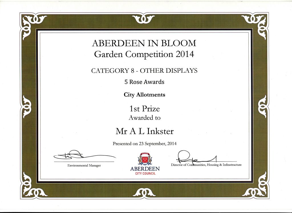 Sandy_Certificate