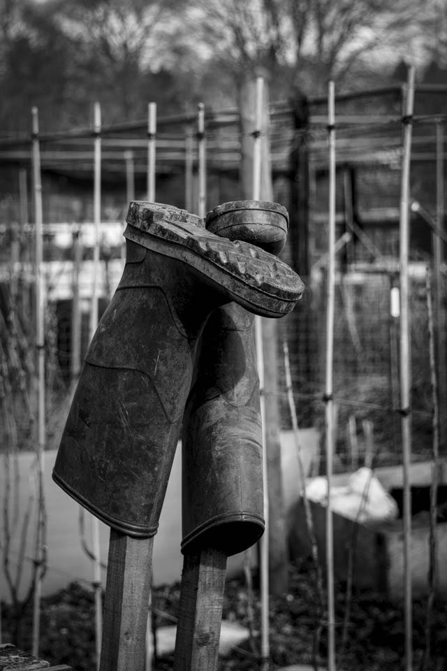 DSC_0328B&W